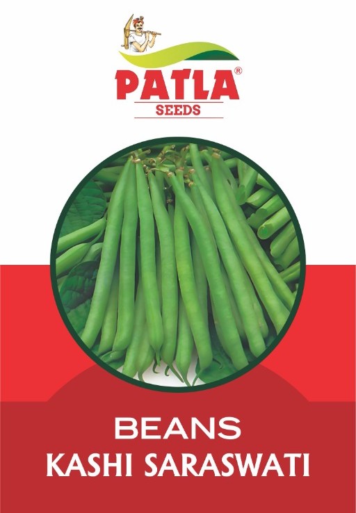 Beans