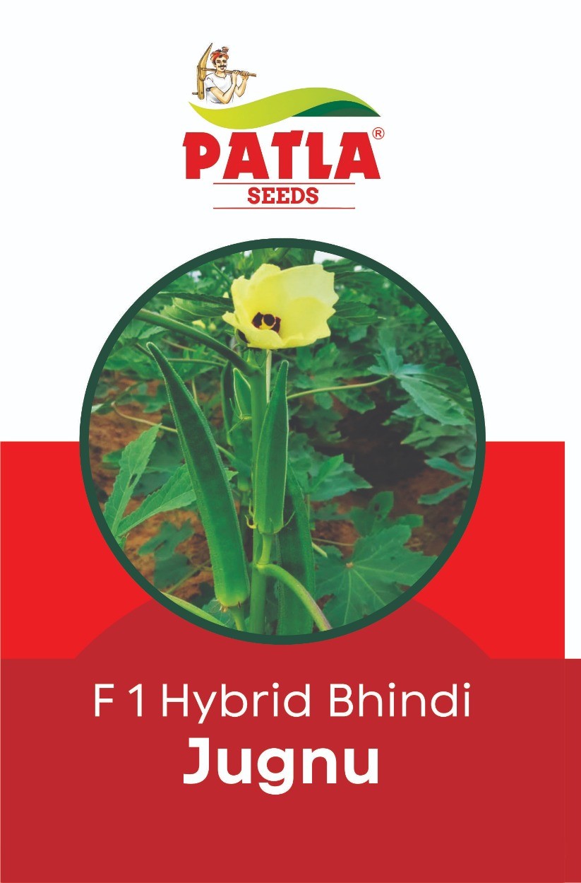 Hybrid Bhendi Aditi