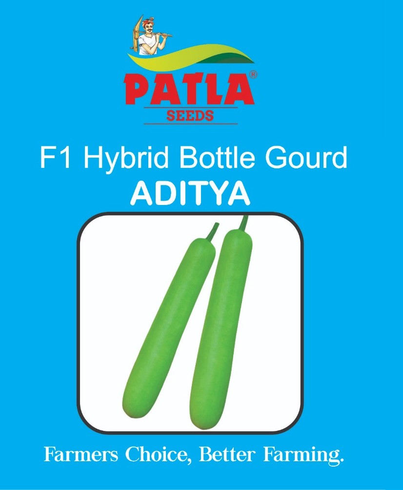 Bottle Gourd