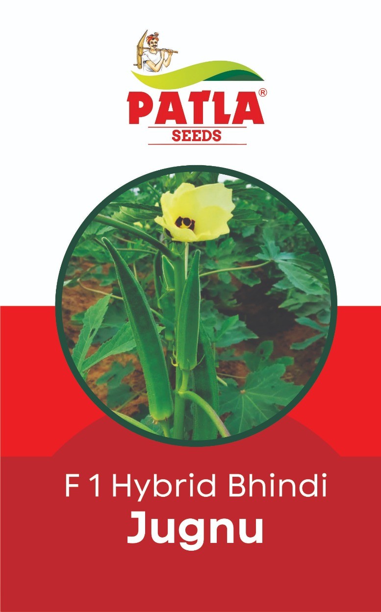 Okra